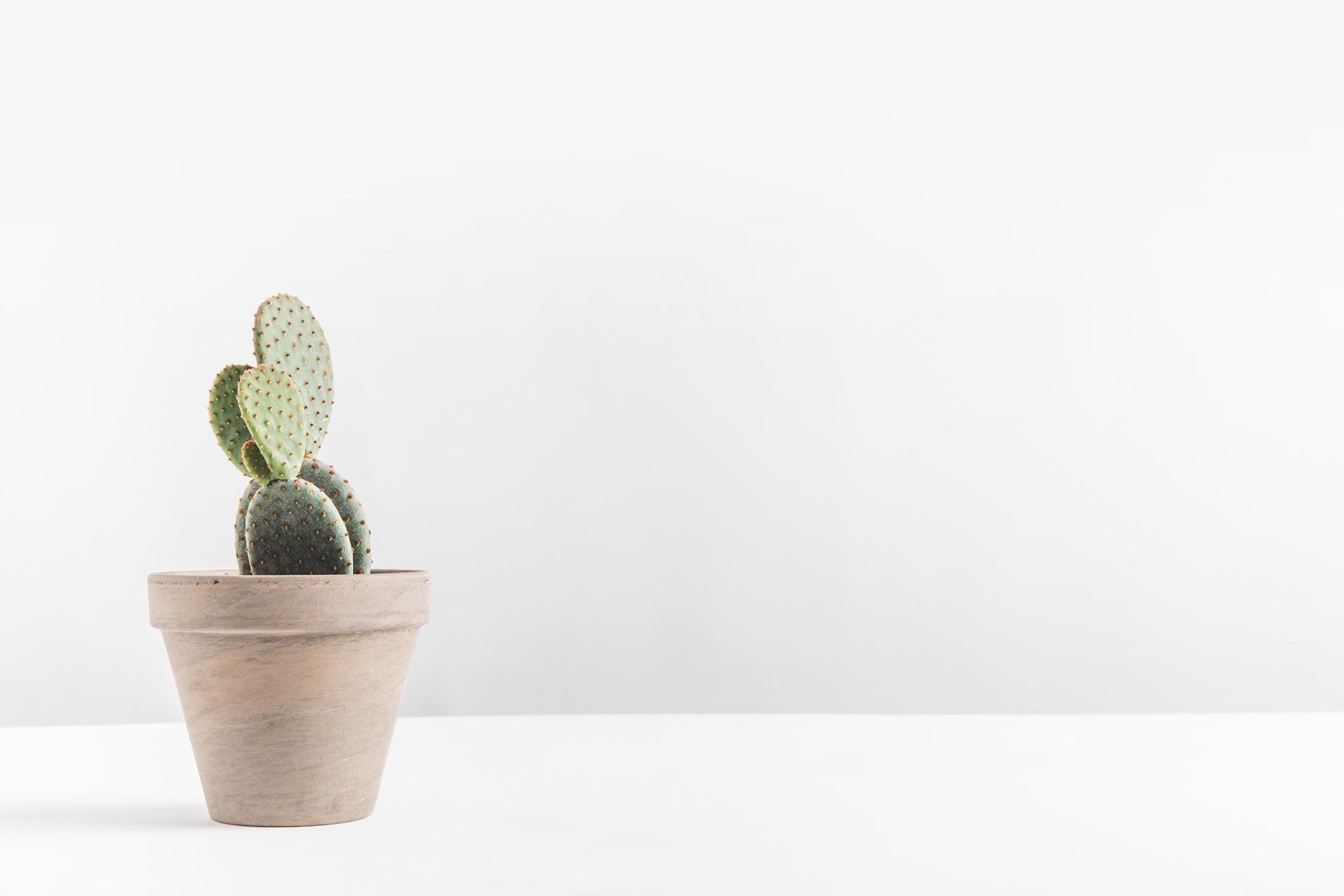 Αιμορροΐδες: Βάλε τέλος!