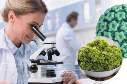 HPV O ΙΟΣ ΤΩΝ ΑΝΘΡΩΠΙΝΩΝ ΘΗΛΩΜΑΤΩΝ